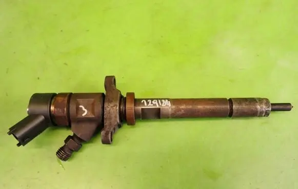 Citroen C5 Fuel injector 0445110259