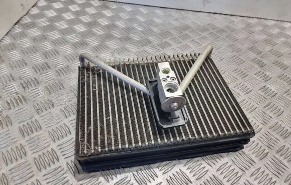 Volvo S60 Air conditioning (A/C) radiator (interior) 31101177 5037141332 119121