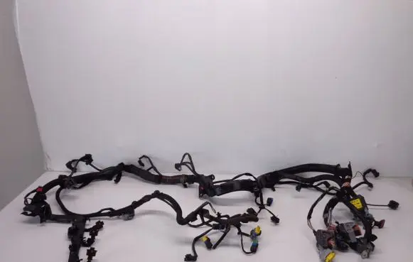 Peugeot 307 Engine installation wiring loom 20DM69
