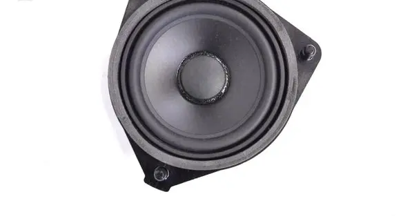 Land Rover Range Rover Evoque L538 Front door speaker A2318200702