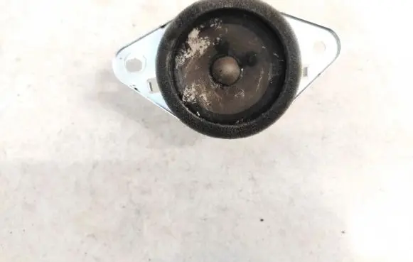 Subaru Outback Front door speaker