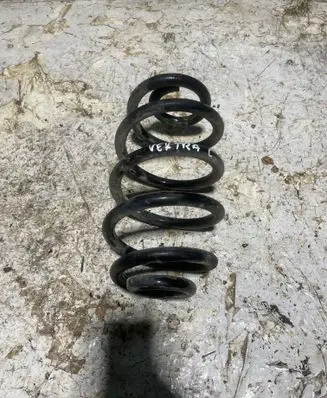 Rear coil spring
