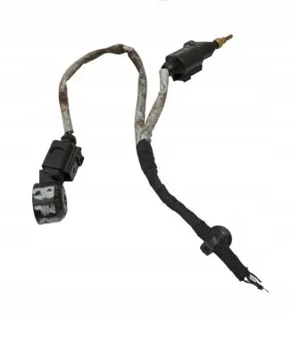 Skoda Fabia Mk3 (NJ) Sensor 0309053770