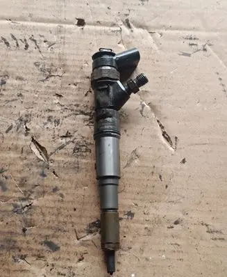 BMW X5 E53 Fuel injector 7789661