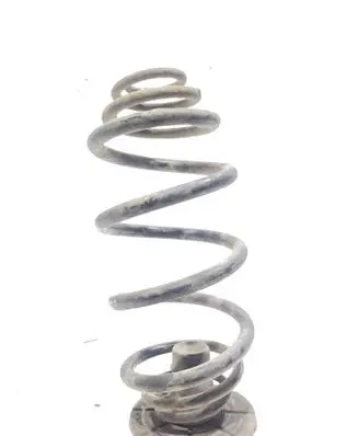 Rear coil spring