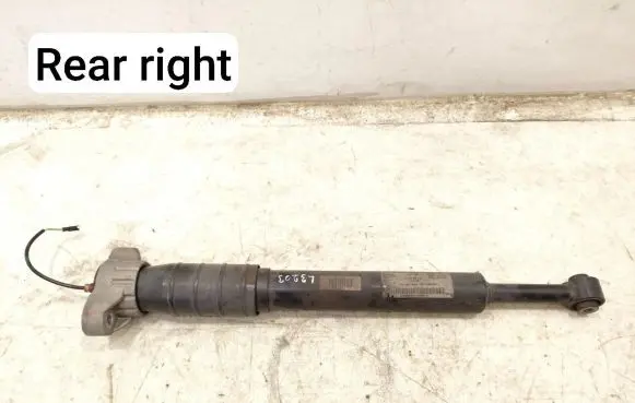 Maserati Quattroporte Rear shock absorber/damper 06700028330