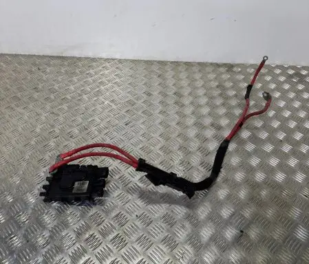 Renault Trafic III (X82) Positive wiring loom 243501820R