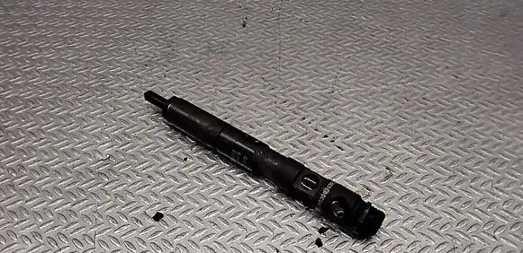 Renault Clio III Fuel injector EJBR02101Z