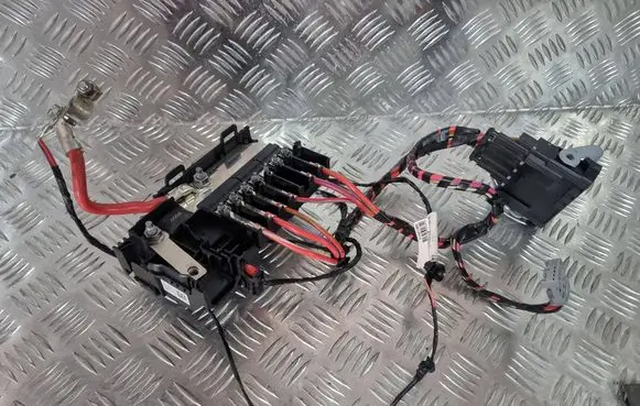 Positive wiring loom