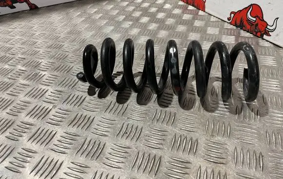 Mercedes-Benz C W205 Rear coil spring