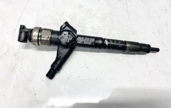 Nissan Pathfinder R51 Fuel injector 16600EB300 01H12521