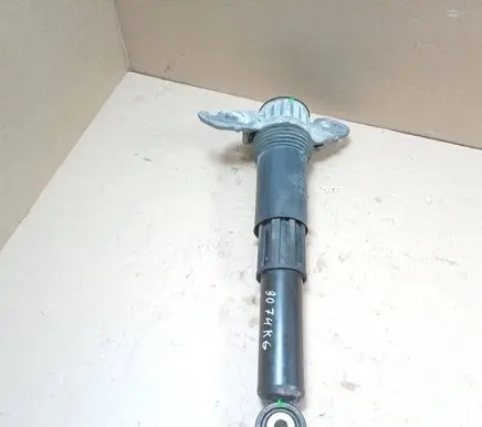 Volkswagen ID. Buzz Rear shock absorber/damper 1N2513425