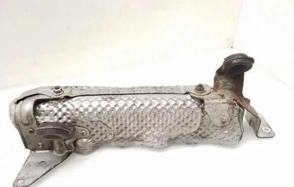 Exhaust heat shield