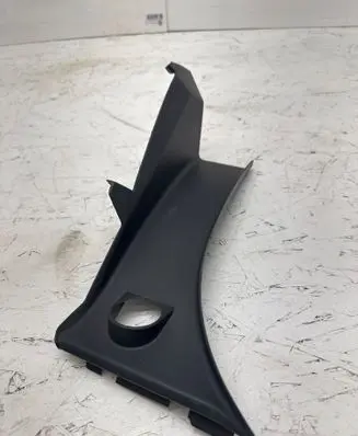 Rear/tail light trim molding