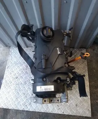 Skoda Octavia Mk2 (1Z) Engine BXE