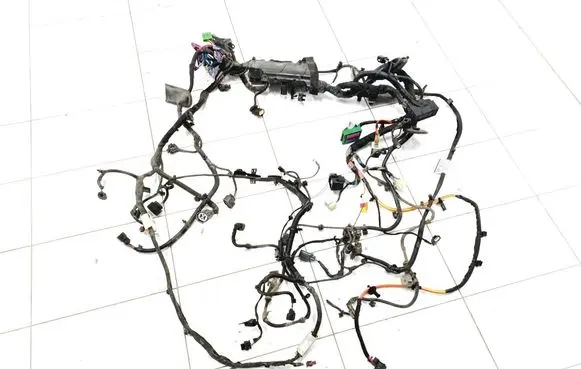 Other wiring loom