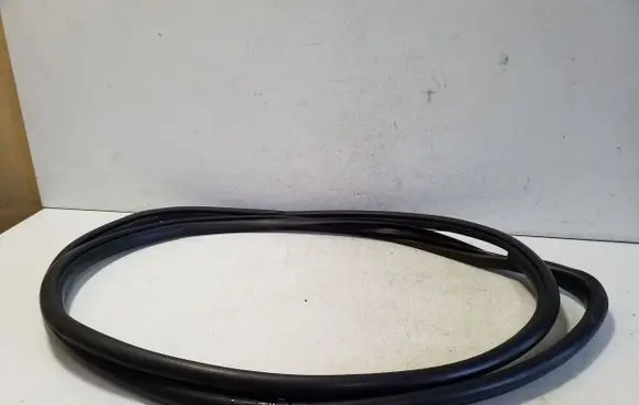 Lexus NX Front door rubber seal 