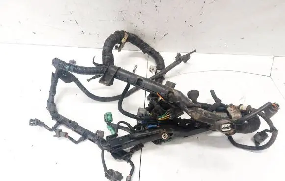 Honda Accord Other wiring loom