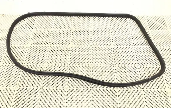 BMW X1 U11 Rubber seal front door (on door) 