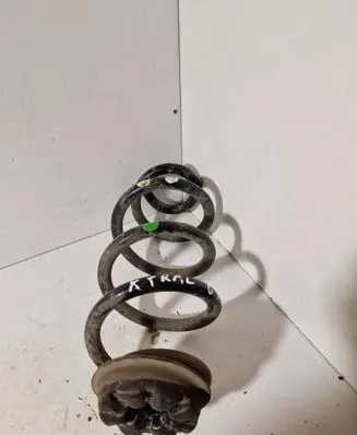 Rear coil spring