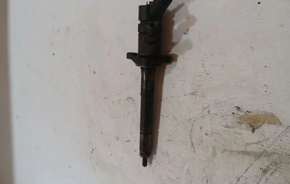 Citroen Xsara Picasso Fuel injector 0445110188 892080 48913