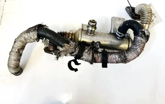 Ford Transit - Tourneo Connect EGR valve cooler