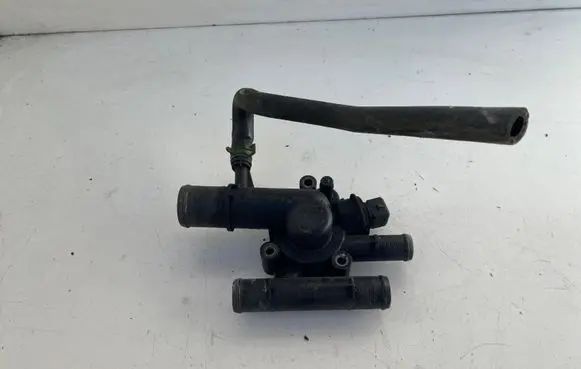 Thermostat/thermostat housing