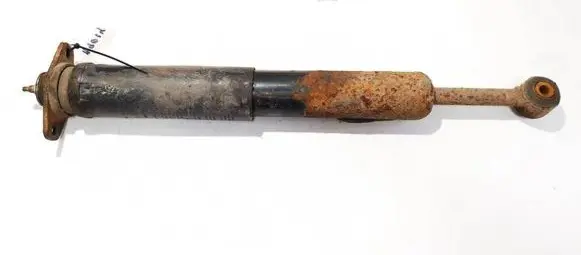 Dodge Magnum Rear shock absorber/damper p04895513ac
