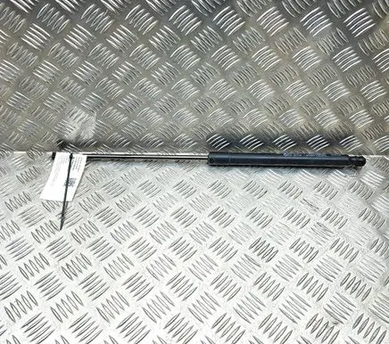 Renault Arkana Tailgate/trunk strut/damper 904520237R