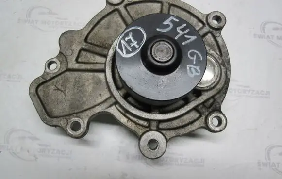 Opel Antara Water pump 541GB
