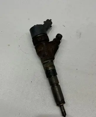 Citroen Jumper Fuel injector 0445110076
