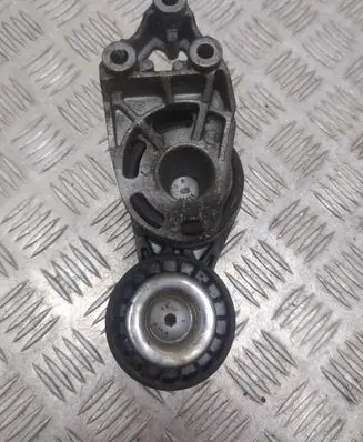 Skoda Fabia Mk1 (6Y) Generator/alternator belt tensioner 045903315