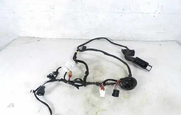 Other wiring loom