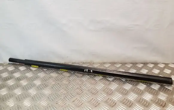 Hyundai Santa Fe Front door glass trim molding 