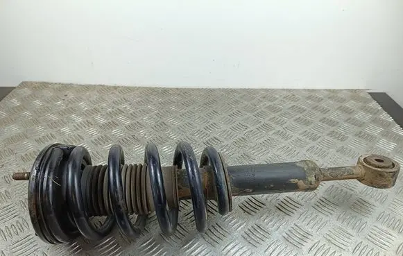 SsangYong Rexton Front shock absorber with coil spring