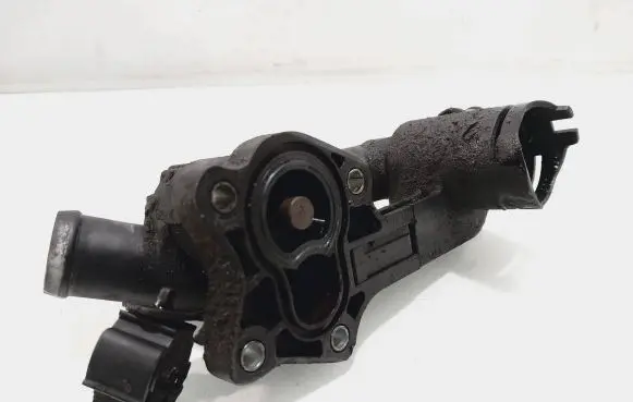 Thermostat/thermostat housing