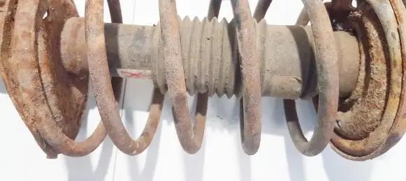 Citroen ZX Front coil spring
