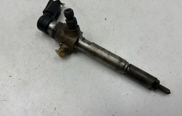 Nissan Qashqai Fuel injector 8200842205