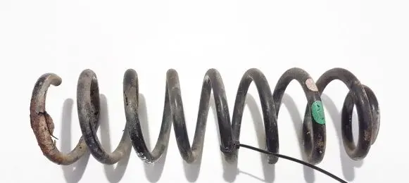 Rear coil spring