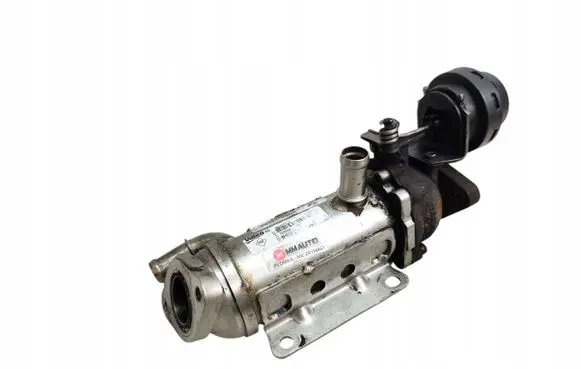 Renault Megane I EGR valve cooler