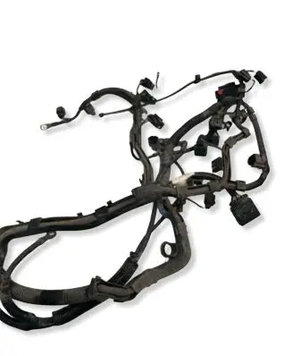 Volkswagen Polo Wiring harness 