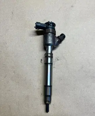 KIA Carens III Fuel injector 0445110589 338002a610