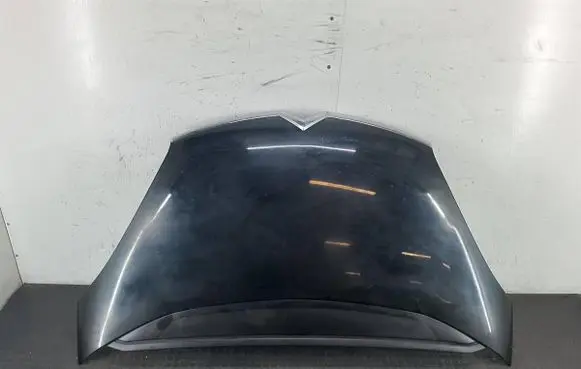 Engine bonnet/hood