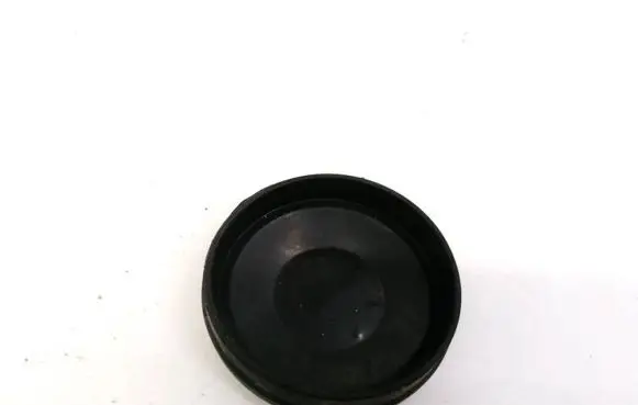 Fiat Punto (188) Headlight/headlamp dust cover