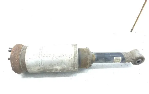 Land Rover Range Rover Sport L320 Air suspension front shock absorber RNB501310 22241483