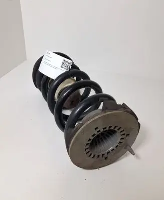 Rear coil spring