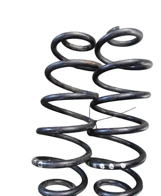 Rear coil spring
