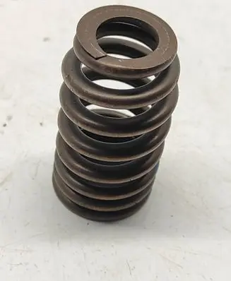 Dodge Challenger Valve spring 5037382BC