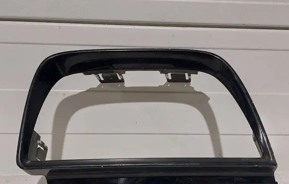 Rear/tail light trim molding