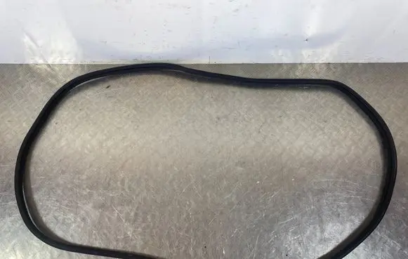 SsangYong Rexton Front door rubber seal 